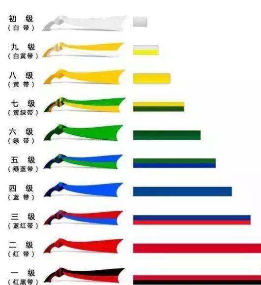 永晟亲子课堂 跆拳道色带的级别和含义——等级划分！